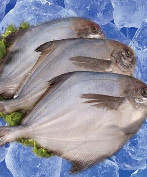 海鱼|喜欢吃鱼,推荐买这4种,目前不能人工养殖,肉质新鲜营养,好吃