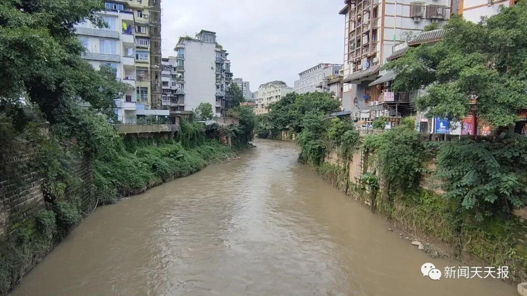 乐山|白发老人千里迢迢到乐山，只为找一张这样的照片……