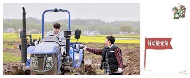 《向往的生活》渐入佳境，开始努力劳动，直接打脸“吃喝玩乐粉”