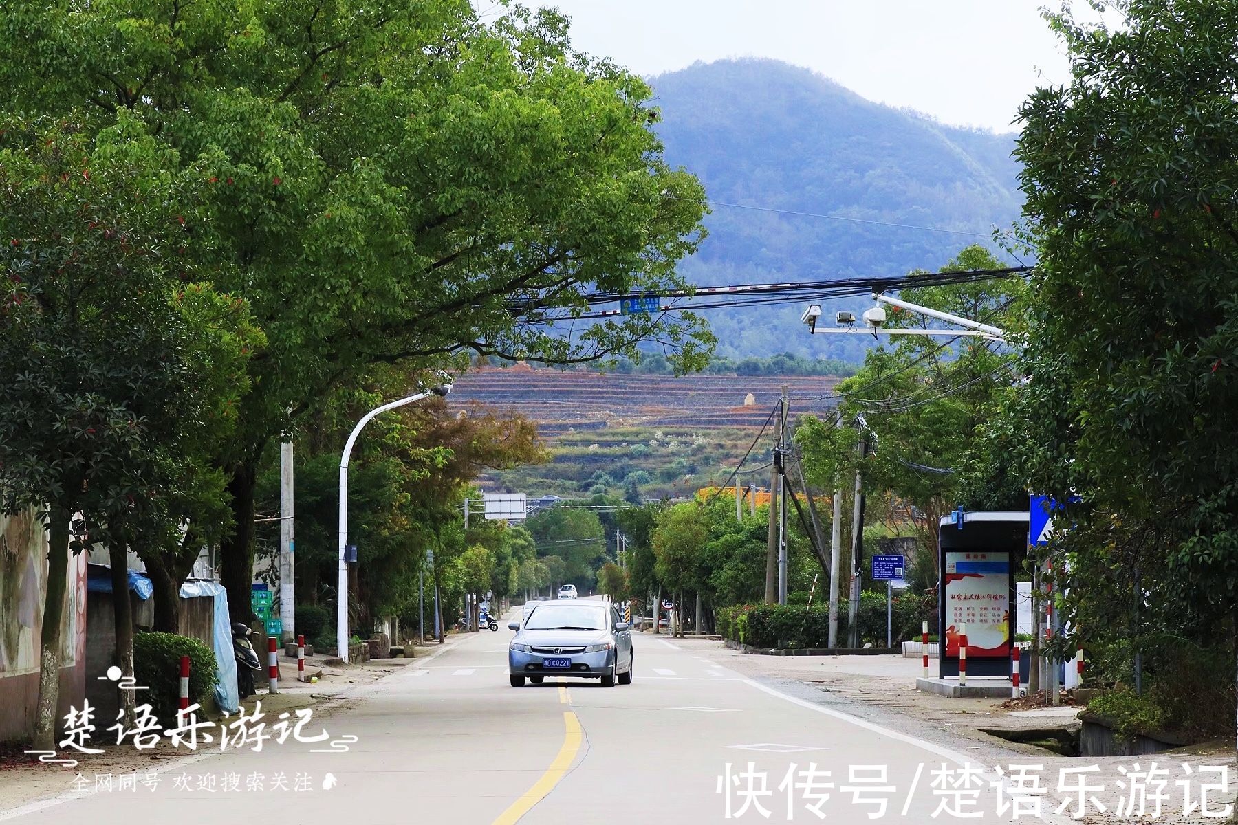 浙江这个古村被田野包裹，饱含田园风情，百亩梯田成为独特风景