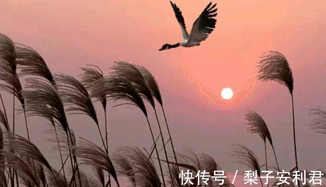 太守@黄庭坚畅饮美酒,抒写了一副楹联,脱口而出,却妙趣横生