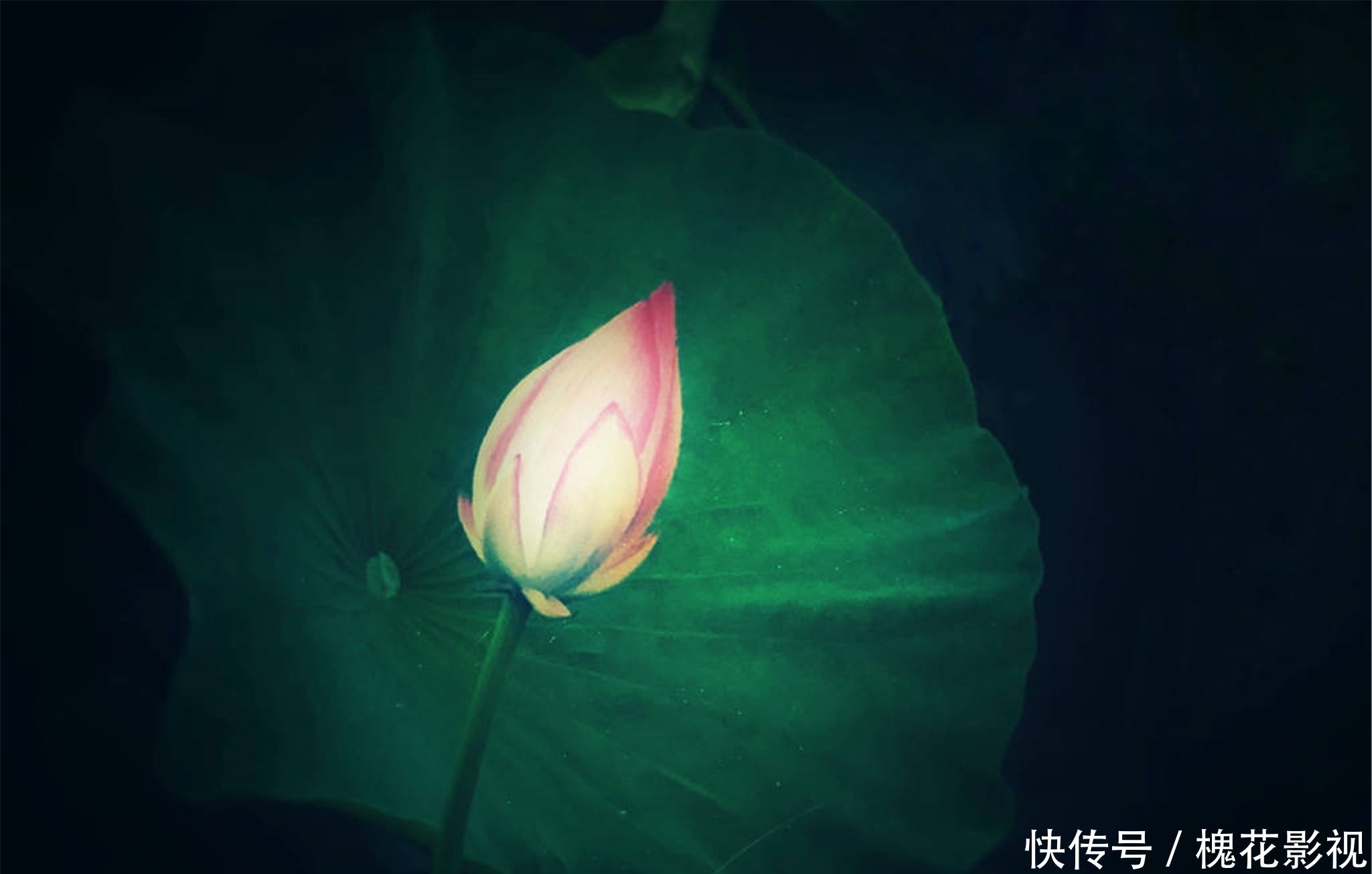 《山河令》:一眼万年轻,唯此心如旧