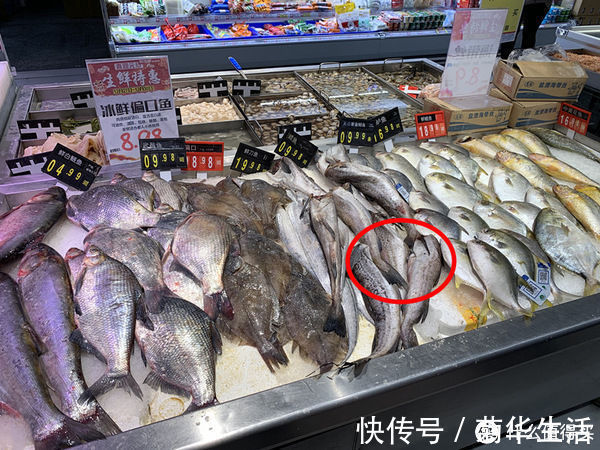 嫌弃|这种鱼总被人误解，比鲫鱼营养，却因冷冻被嫌弃