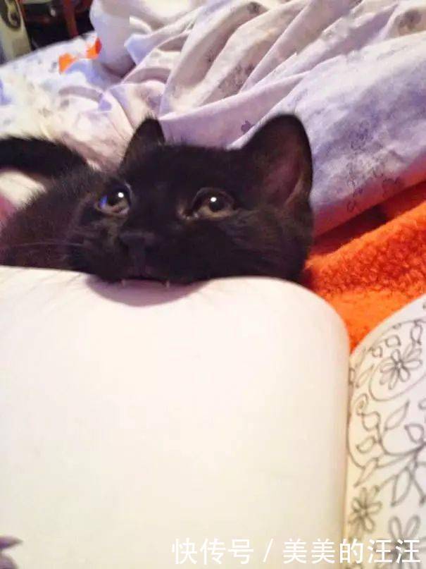 看什么书看书,难道我还没有书好看吗