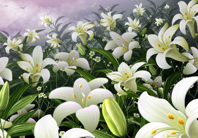 养花的花友请注意,这几种绿植一定不要摆在室内,对身体有害