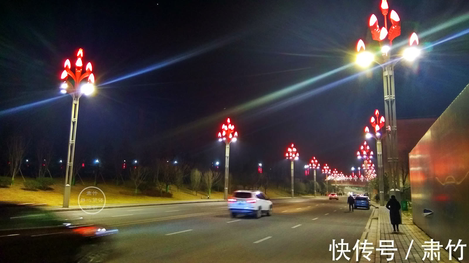 肃竹#梦想如同鲜花,掩盖在伤痕之上