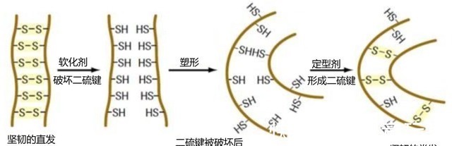 gt 别人烫发是女神，我烫完是步惊云，烫发是如何改变头发形状的！