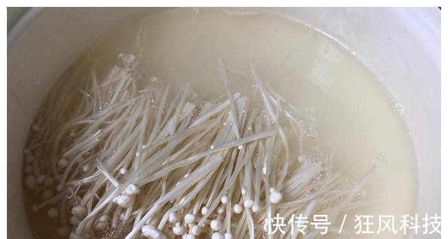 天然的“补脑菜”发现了,每天炒一盘,营养极高,孩子更聪明