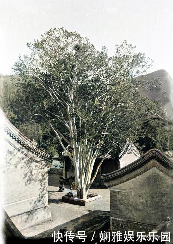 诡异|北京门头沟：1918年的潭柘寺，大殿内的法事看上去很诡异