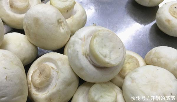 三物|血糖高的人該如何穩定血糖常吃三物，血糖或許會乖乖聽話