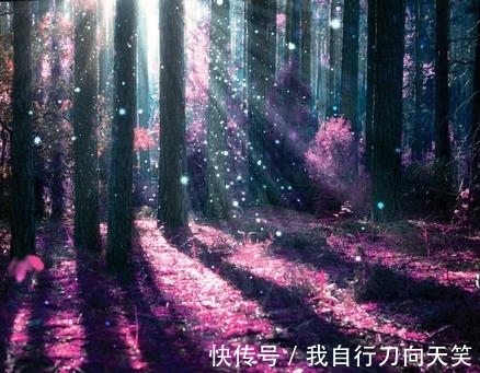 三大生肖|9月18日，美丽的桃花运，陆续的走来，势不可挡的三大生肖