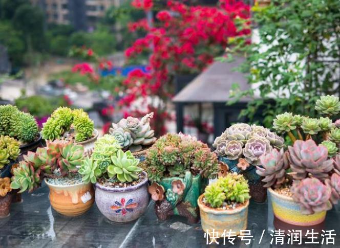 院墙|住一楼带院子的户型,做好5件事,轻松赶走潮湿