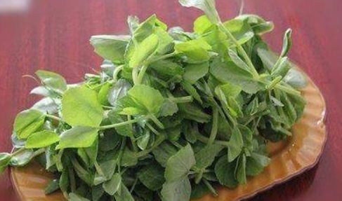 女性想要身材好，推荐常吃3物，排毒养颜，增强体质，只要几块钱