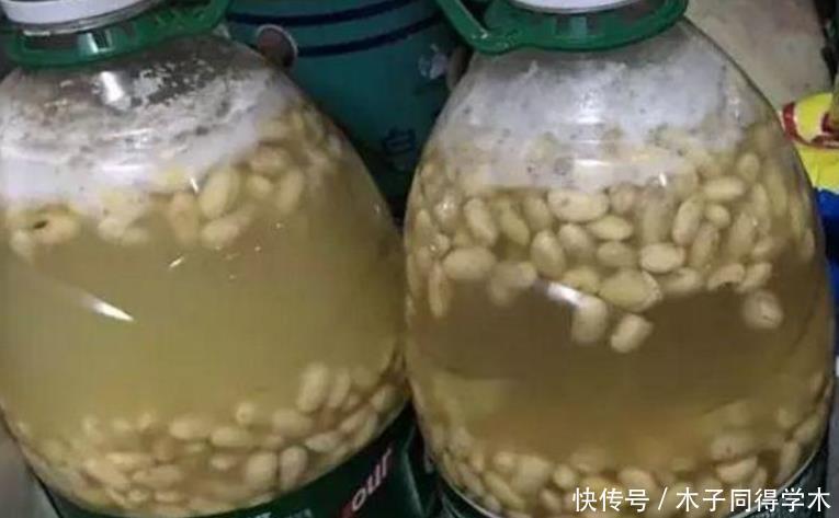 家庭中一些常见的东西,拿来养花是“宝贝”,效果不比买的肥料差