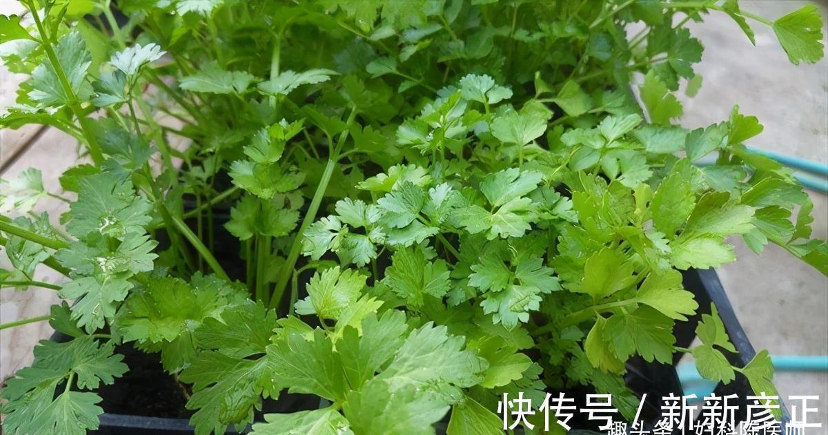 排毒|女性不想满脸皱纹，推荐多吃3种食物，排毒消脂，促进消化！