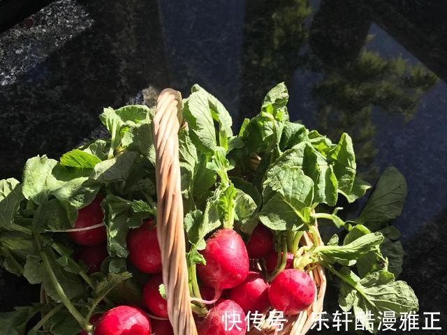 盆栽|在家种植瓜果这个季节熟了,健康又美味,小孩子太开心