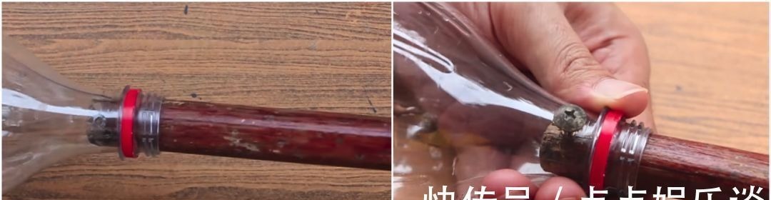 窗帘|她把塑料瓶放在窗帘上,解决了千万人的烦恼。。。