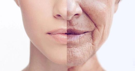 桑叶泡水|桑叶泡水喝能带来哪些好处?这5个好处或会不请自来