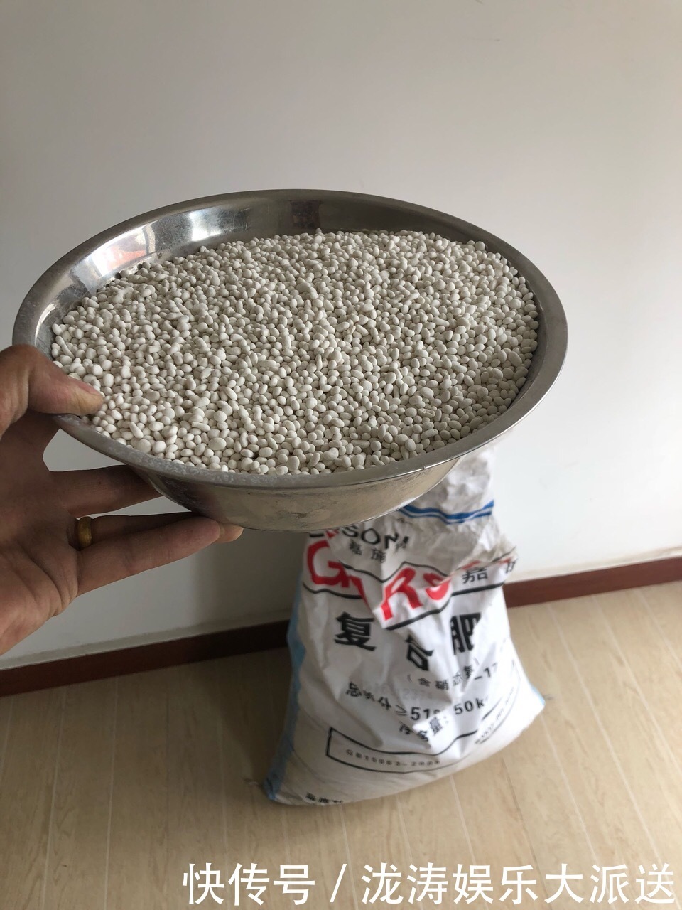 浇水|进入6月，养长寿花蟹爪兰“剪几刀”，喂点小颗粒，到了9月蹭蹭长