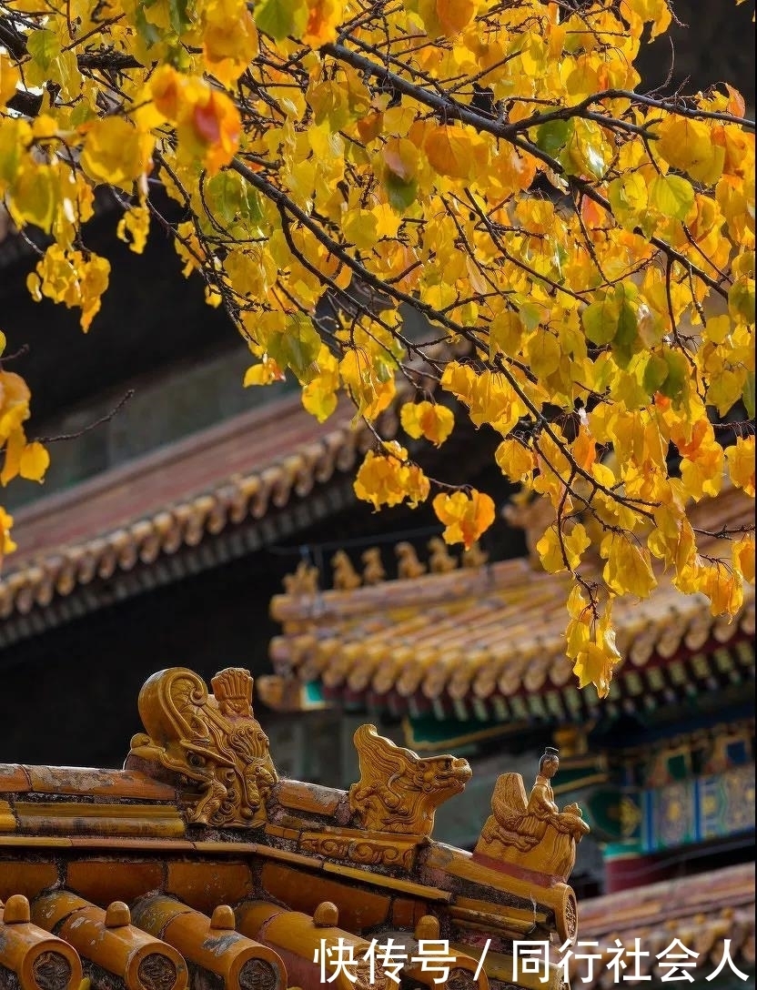 「美妆江湖」故宫四季,绝色中国