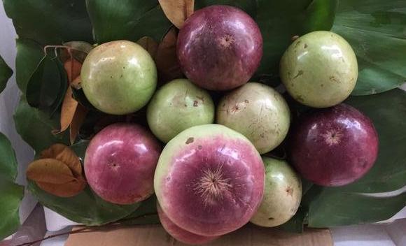 维生素c|女性想要身体好,多吃3种食物,排毒润肤,延缓衰老,美容养颜