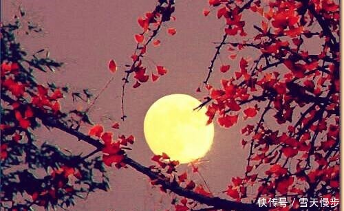 相思|秋来,一处相思,两处闲愁,知否知否念你依旧