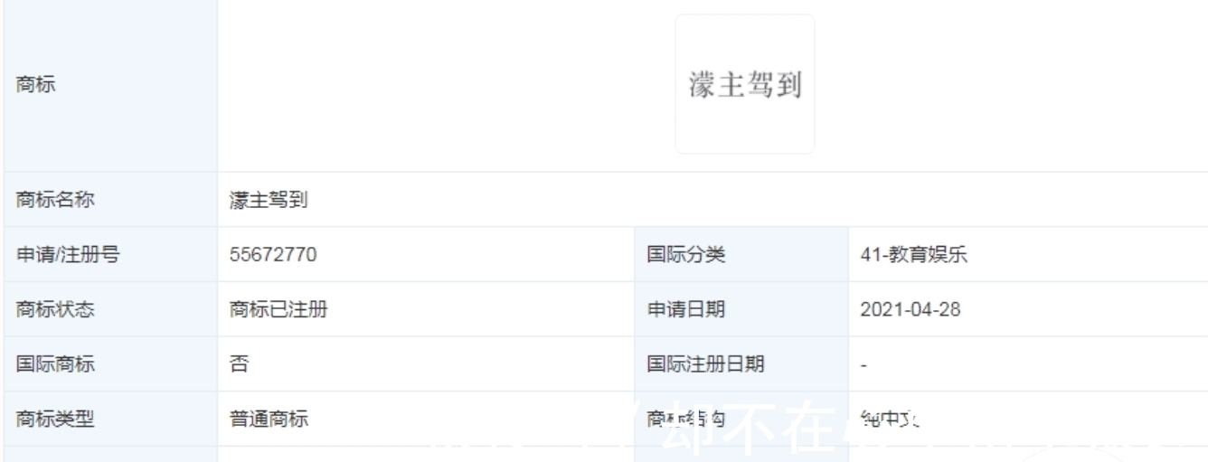 运动员|王濛当运动员、解说、教练、商人都成功,却遗憾只参加了两届冬奥