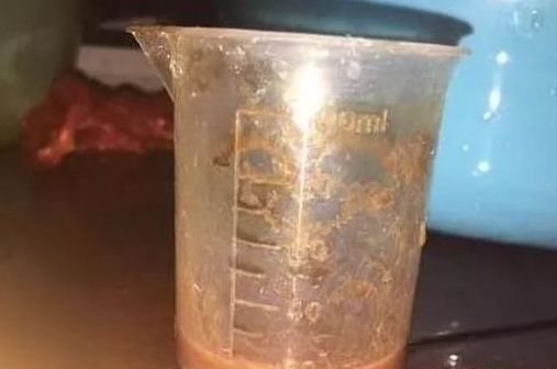 小编|【饵料配方】用鸡血钓鲫鱼我用了10年每次至少62斤以上