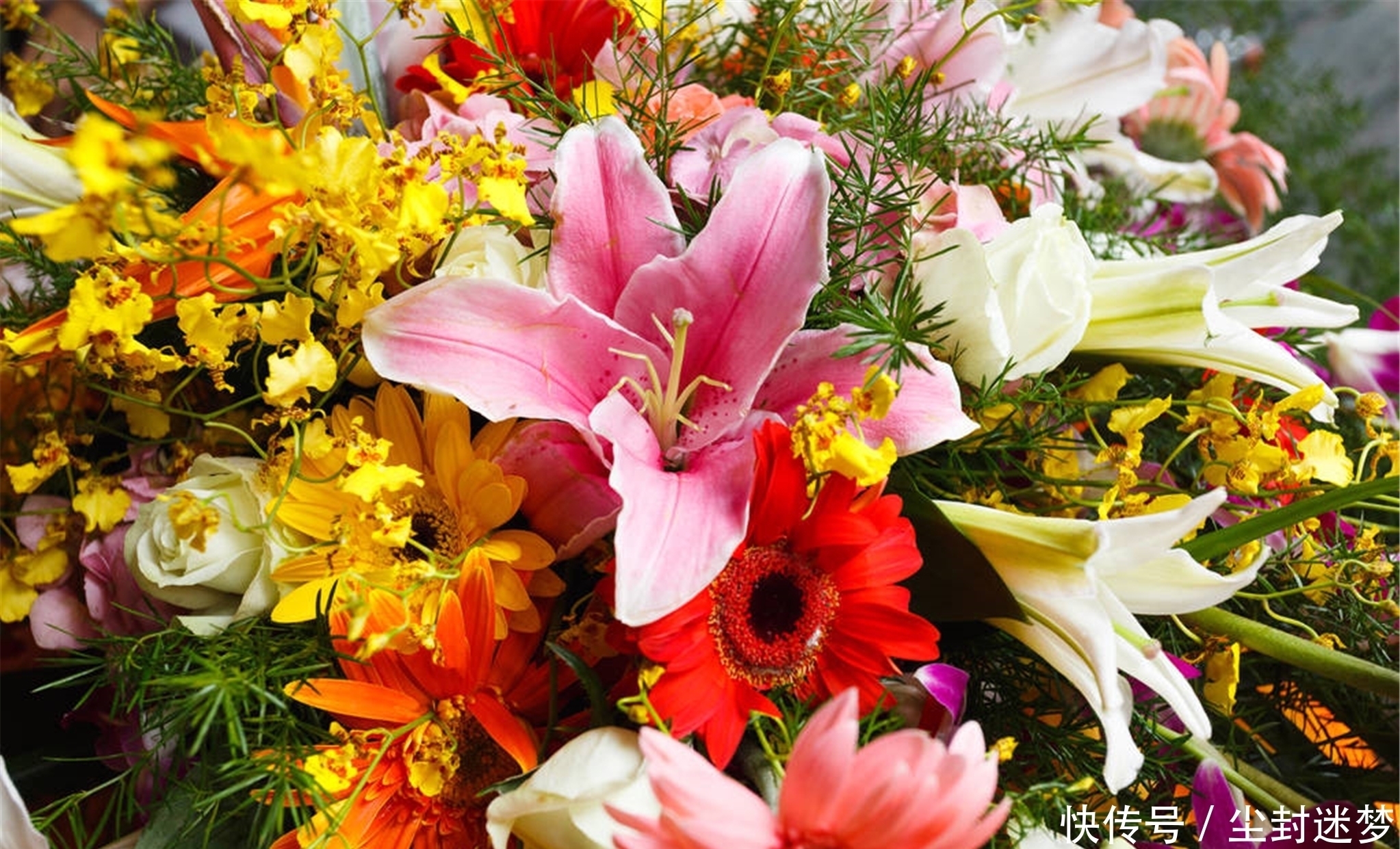 春暖花开|4种年宵花，盆栽美丽、插花诗意，高端大气春暖花开、幸福四季