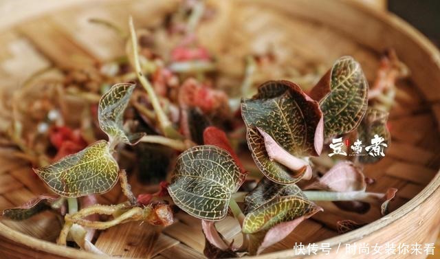 金线|一斤上千上万的金线莲你吃过吗,用于煮肉,味道香醇口感特好