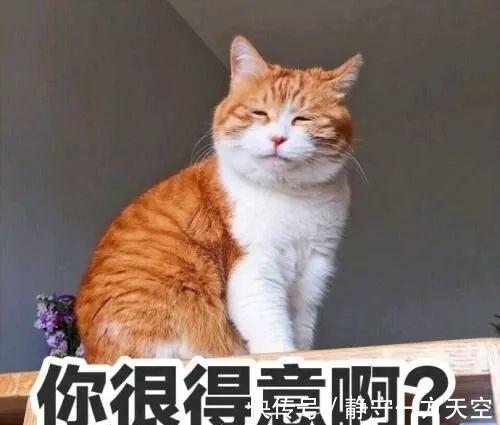 大卷|矮个子剪什么发型才显高?