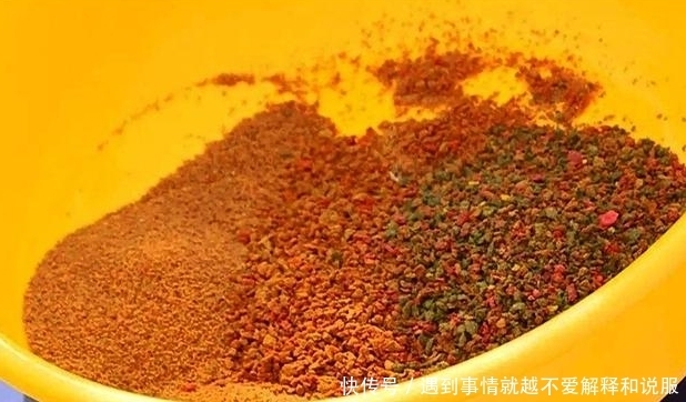 饵料搭配思路分享,新手学会,也能轻松爆护——盛世三渔