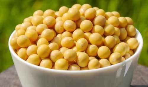 子宫肌瘤|女性若有子宫肌瘤,4种食物要舍得多吃,或助你消除子宫肌瘤