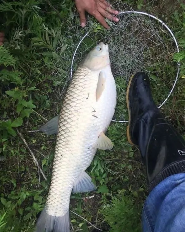 为啥你钓不到大鱼？因为没人提醒你，这几个误区是钓大鱼的大忌