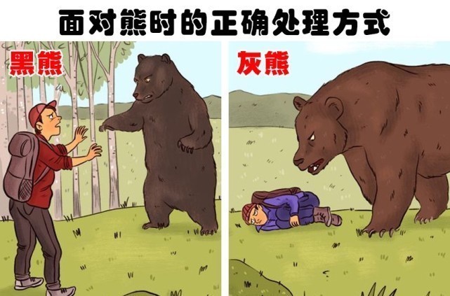 在生活中遇到某些麻烦时，可以带来帮助的6个小技巧