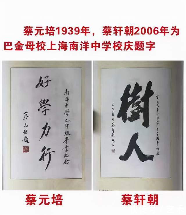 书法家&书法家蔡轩朝作品《鸿》二百二十万落槌成交