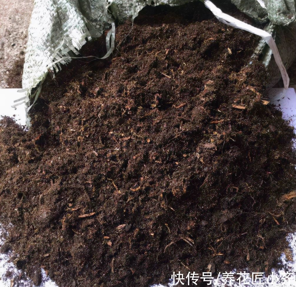 什么专用土、通用土，都不如自己“调配”，适合环境的才是最好的