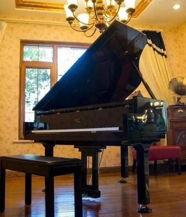 钢琴|晒晒郎朗住的豪宅,光客厅就有三层楼高,楼梯设计超像钢琴键