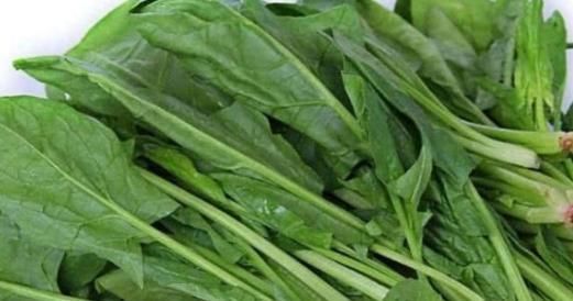 二次加熱后,米飯會致癌嗎?醫生提醒:四種食物不應該再加熱吃!