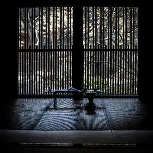 寒蝉|立秋之后,寒蝉鸣