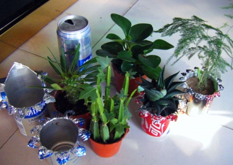 植物|别把铁罐子扔了、卖了，钻孔养花，植物长得好，越看越讨喜