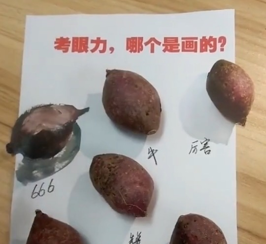 粉丝!美术生和粉丝做游戏,画红薯让大家猜,粉丝:眼睛又被骗了