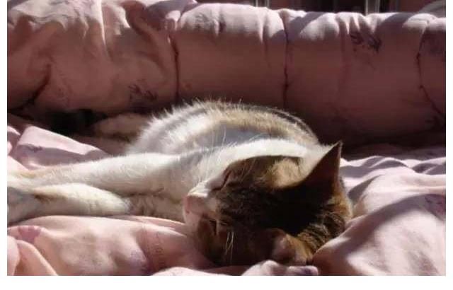 小常识|冬季养生10个小常识，你知道几个？