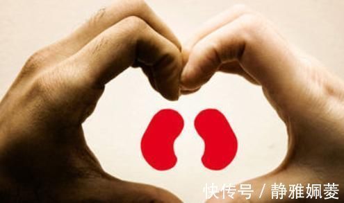 肾脏|入冬后是保养肾脏“黄金期”,日常做好“3步走”,百病难近身!