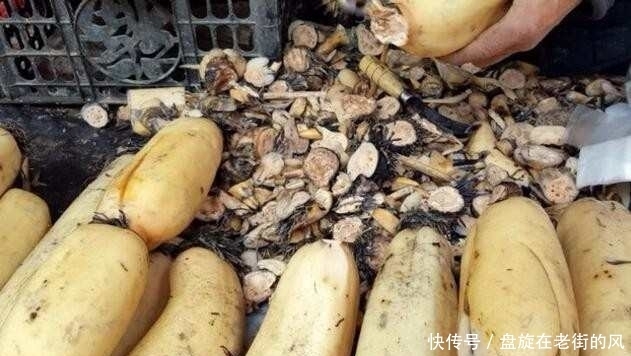 收集|老汉每天守在菜市场收集这种没人要的东西,竟能治好这个小毛病
