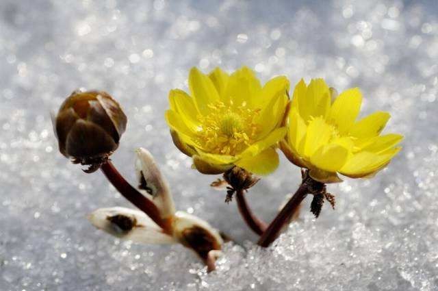 长春|相约长春，邂逅冰雪奇缘