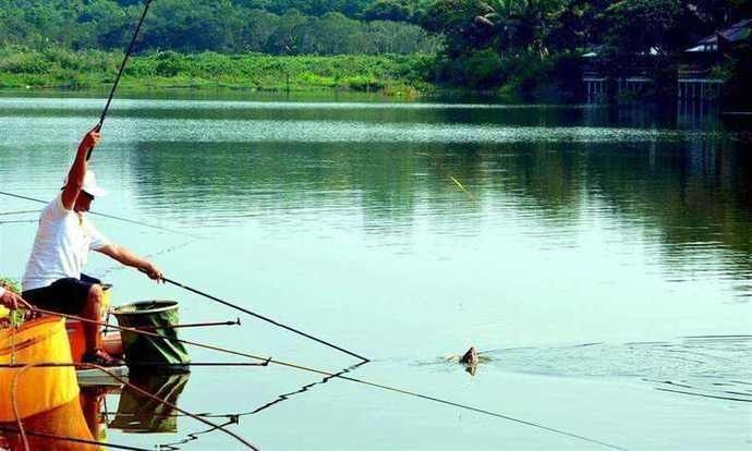 夏天野钓看到这三个信号,说明有大鱼进窝了