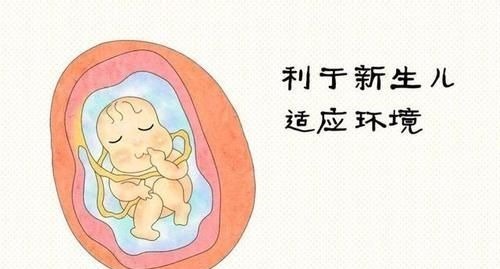宝宝|产妇在水中生孩子是不是可以避免由于各种胎位不正引起的胎儿缺氧或窒息？