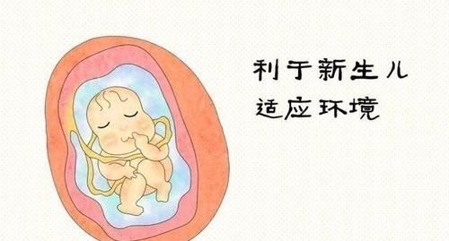 宝宝|产妇在水中生孩子是不是可以避免由于各种胎位不正引起的胎儿缺氧或窒息?