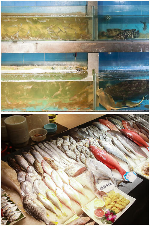  排挡经典菜，海敢小鱿鱼